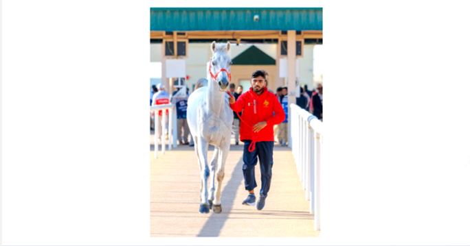 Royal Endurance Team set for Abu Dhabi contest